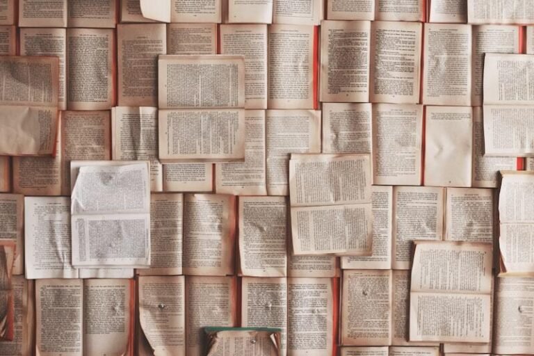 10 novelas feministas imprescindibles para leer este año