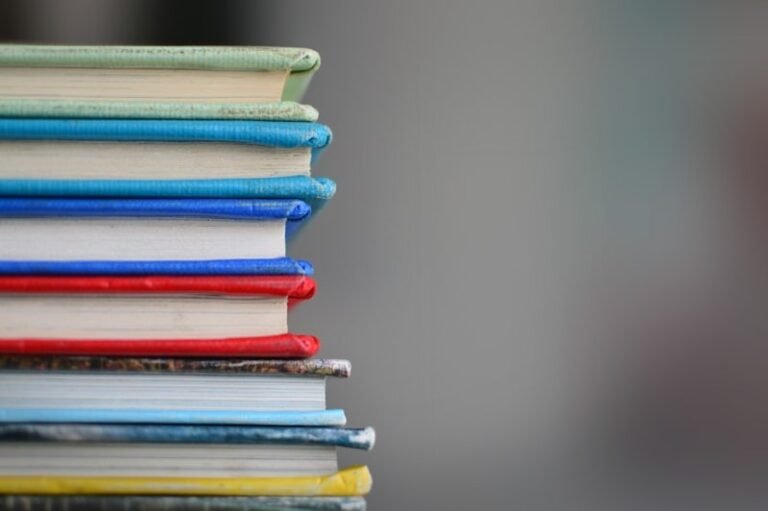 Barreras educativas para las niñas migrantes: el reto de la integración escolar